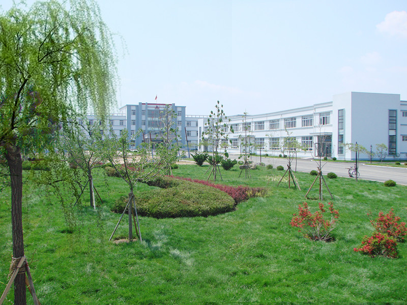 歡樂奧龍人，激昂青春夢(mèng)